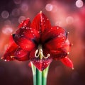 a red flower with water droplets on it\'s petals and a green stem with a red background with a blurry boke of light