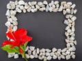 Red flower and white stones frame on black background