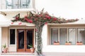 Red Flowering Vine on White Plaster Building Royalty Free Stock Photo