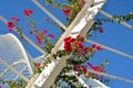 Red flowers and architectural detail of L`Umbracle,Valencia