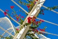 Red flowers and architectural detail of L`Umbracle