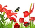 Red flowers with butterflies and ladybug Royalty Free Stock Photo