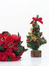 Christmas composition,flowers and christmas tree