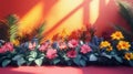 Red flowers with colorful background Royalty Free Stock Photo