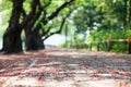 Red flowers falling to a sideway