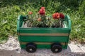 Retro wooden flower pot with red flowers in house garden Royalty Free Stock Photo