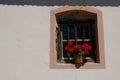 Red flowers in a flowerpot on a windowsill in front of a rustic window Royalty Free Stock Photo