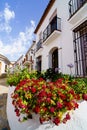 Red flowers in front of white village house Royalty Free Stock Photo