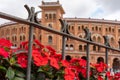 Red flowers in the gardens next to the Las Ventas bullring in Madrid. Royalty Free Stock Photo