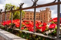 Red flowers in the gardens next to the Las Ventas bullring in Madrid. Royalty Free Stock Photo