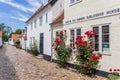 Red flowers on a historic house in Ribe Royalty Free Stock Photo