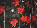 Red flowers and light hanging on Christmas  tree Royalty Free Stock Photo