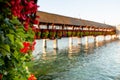 Red flowers and Lucerne Chapel Bridge in bright evening, Switzerland Royalty Free Stock Photo