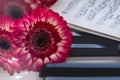 Red flowers and music book on a piano keyboard Royalty Free Stock Photo