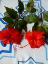 Red flowers on my bed with white and lightblue shirt