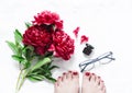 Red flowers peonies, beautiful female feet with red pedicure, glasses, perfume on light background, top view. Beauty concept. Soft Royalty Free Stock Photo