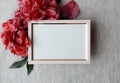 Red flowers of peonies. Blooming branches with peony flowers and buds. Blank photo frame mockup. Feminine wedding and Royalty Free Stock Photo