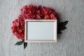 Red flowers of peonies. Blooming branches with peony flowers and buds. Blank photo frame mockup. Feminine wedding and Royalty Free Stock Photo