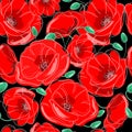 Red flowers Poppy seamless pattern on a black background vector illustration. Floral poppies seamless background. Royalty Free Stock Photo