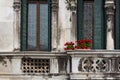 Red flowers on a vintage balcony in Venice, Italy Royalty Free Stock Photo