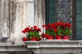 Red flowers on a vintage balcony in Venice. Royalty Free Stock Photo