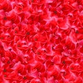 Red Flowers Seamless Pattern Royalty Free Stock Photo