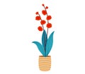 Red flowers in striped pot, stylized potted plant with orange blooms and blue leaves. Decorative indoor plant vector