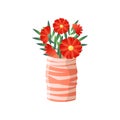 Red flowers in striped vase isolated on white background Royalty Free Stock Photo