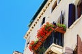 Red flowers at Venetian house balcony Italy