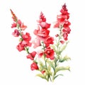 Watercolor Red Gladiolus Flowers: Delicate Flora Depictions In Chinese Painting Style Royalty Free Stock Photo