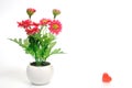 Red flowers in white flower pot with heart, artificially Royalty Free Stock Photo