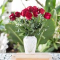 Red flowers in white jug Royalty Free Stock Photo