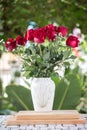 Red flowers in white jug Royalty Free Stock Photo