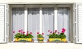 Red flowers on the white windowsills