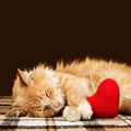 Red fluffy cat asleep hugging soft plush heart toy Royalty Free Stock Photo