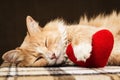 Red fluffy cat asleep hugging soft plush heart toy Royalty Free Stock Photo