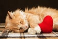 Red fluffy cat asleep hugging soft plush heart toy Royalty Free Stock Photo