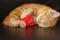 Red fluffy cat asleep hugging soft plush heart toy. Royalty Free Stock Photo