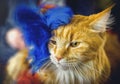 Red fluffy cat decorated with blue ostrich feathers.