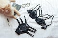 Red fluffy cat sitting on bed near black lingerie. Set of glamorous stylish lace lingerie with woman accessories on