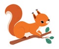 Red Fluffy Squirrel with Bushy Tail Sitting on Tree Branch Vector Illustration