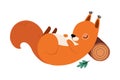 Red Fluffy Squirrel with Bushy Tail Sleeping Leaning on Log Vector Illustration