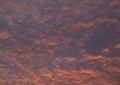 Red fluffy sunset clouds over blue sky Royalty Free Stock Photo
