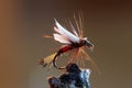 Red fly fishing lure Royalty Free Stock Photo