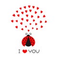 Red flying lady bug insect with hearts. Cute cartoon character. Happy Valentines Day. I Love you text. Greeting card. White backgr