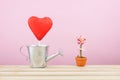 The red foiled chocolate heart stick with small silver watering can and mini fake flower in brown plant pot on wooden tray Royalty Free Stock Photo