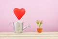 The red foiled chocolate heart stick with small silver watering can and mini fake flower in brown plant pot on wooden tray Royalty Free Stock Photo