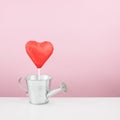 The red foiled chocolate heart stick with small watering can Royalty Free Stock Photo