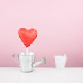 The red foiled chocolate heart stick with small watering can Royalty Free Stock Photo