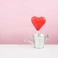 The red foiled chocolate heart stick with small watering can Royalty Free Stock Photo
